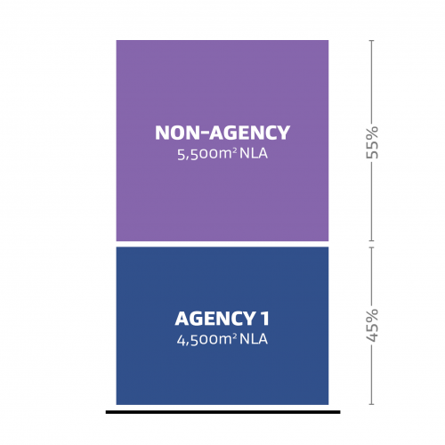 A graph representation of one agency (labelled Agency 1) occupying 45% of the Net Leased Area (NLA) and a non-agency occupying 55% of the Net Leased Area (NLA).