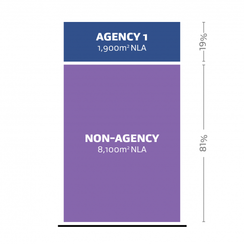A graph representation of one agency (labelled Agency 1) occupying 19% of the Net Leased Area (NLA) and a non-agency occupying 81% of the Net Leased Area (NLA).
