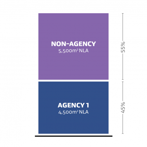 A graph representation of one agency (labelled Agency 1) occupying 19% of the Net Leased Area (NLA) and a non-agency occupying 81% of the Net Leased Area (NLA).