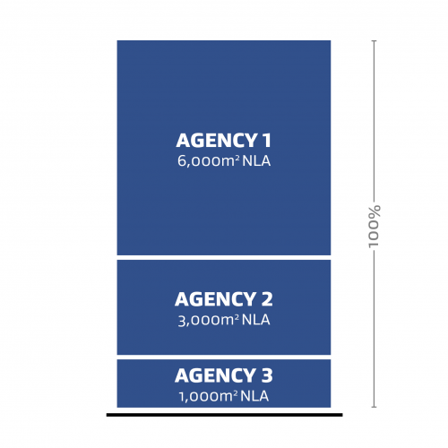 A representation of three different agencies (labelled Agency 1, Agency 2 and Agency 3) occupying 100% of the Net Leased Area (NLA).