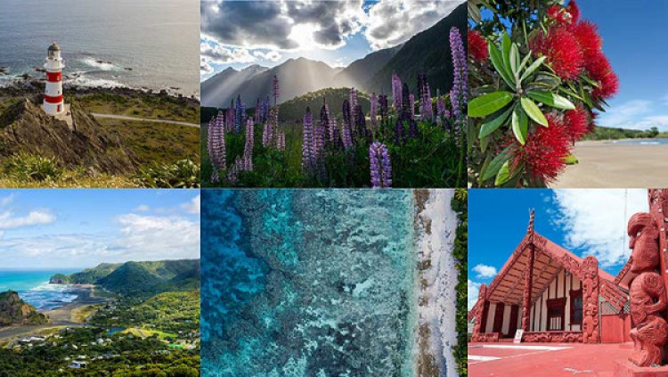 Six images showing commonly reoccurring colours throughout New Zealand.